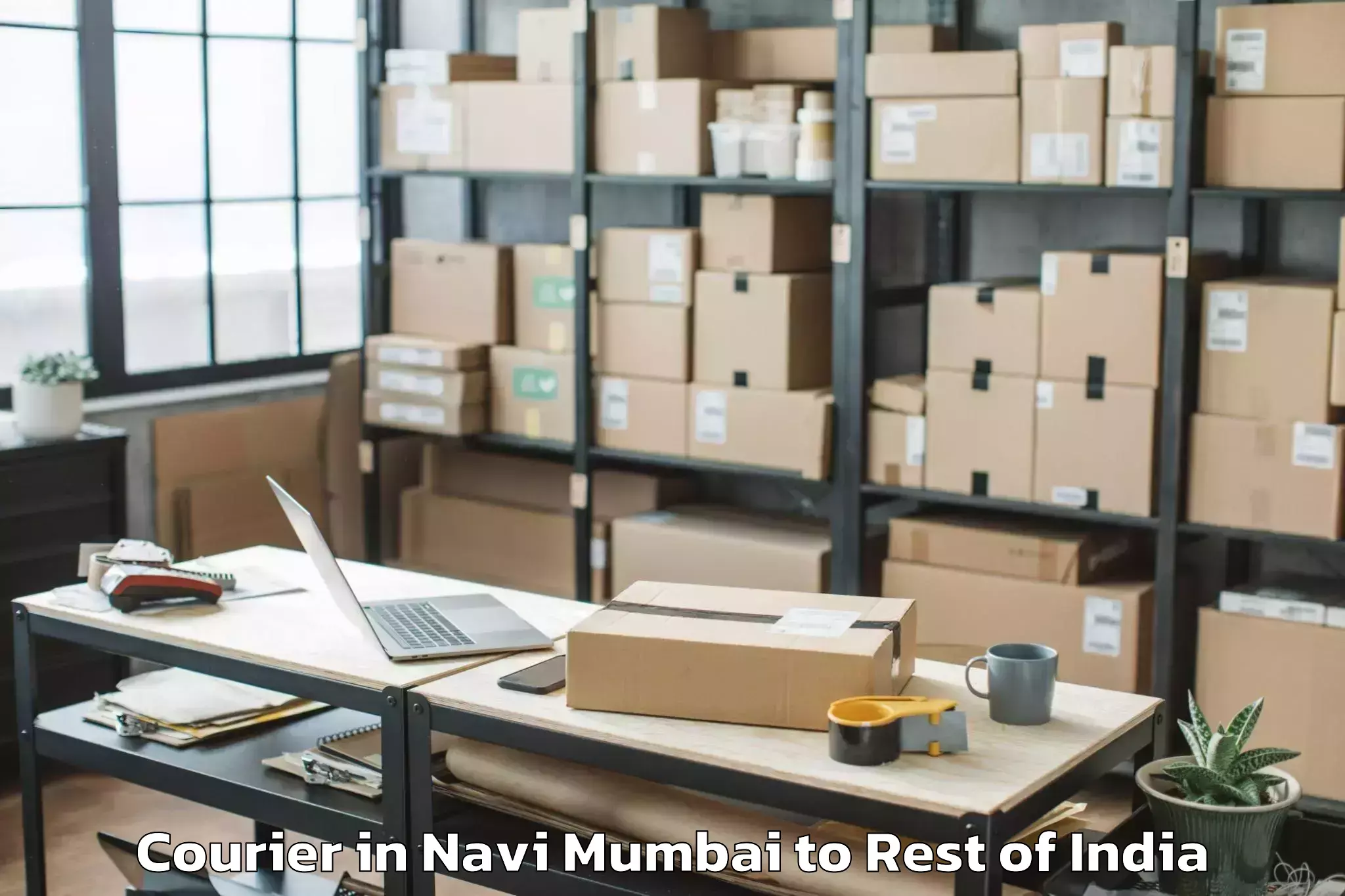 Navi Mumbai to Jagti Courier